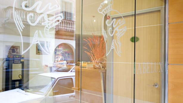 Zona de recepción de un hotel con puerta de vidrio, mostrador de recepción y una planta en maceta.