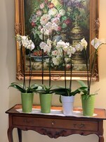Recepción