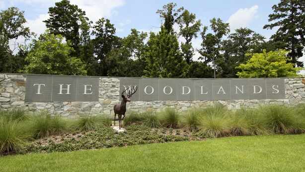 Een bord met de tekst 'THE WOODLANDS' en een hertenbeeld ervoor.