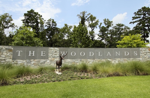Homewood Suites by Hilton Houston-Woodlands