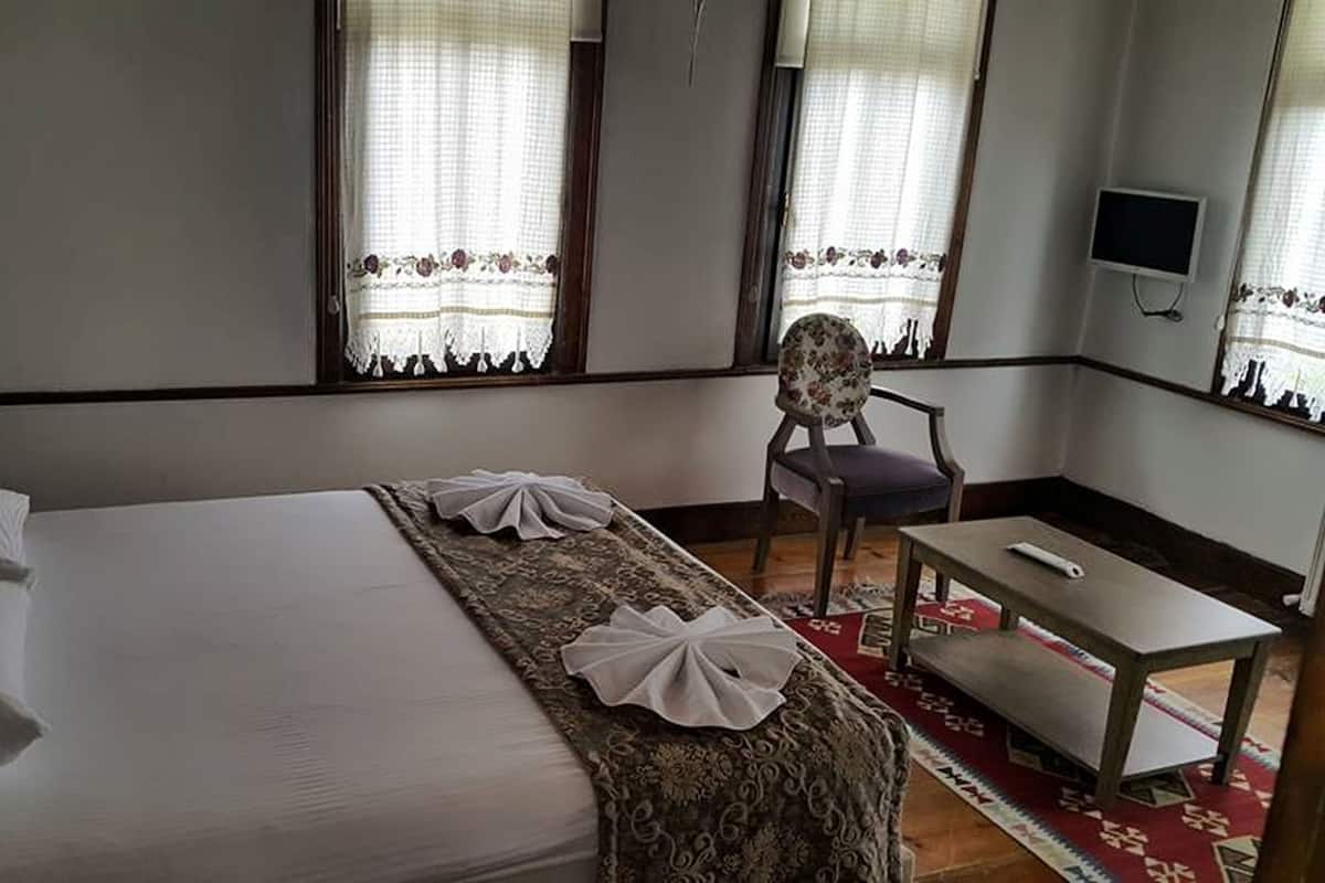 Minibar, desk, cribs (free), WiFi (free)