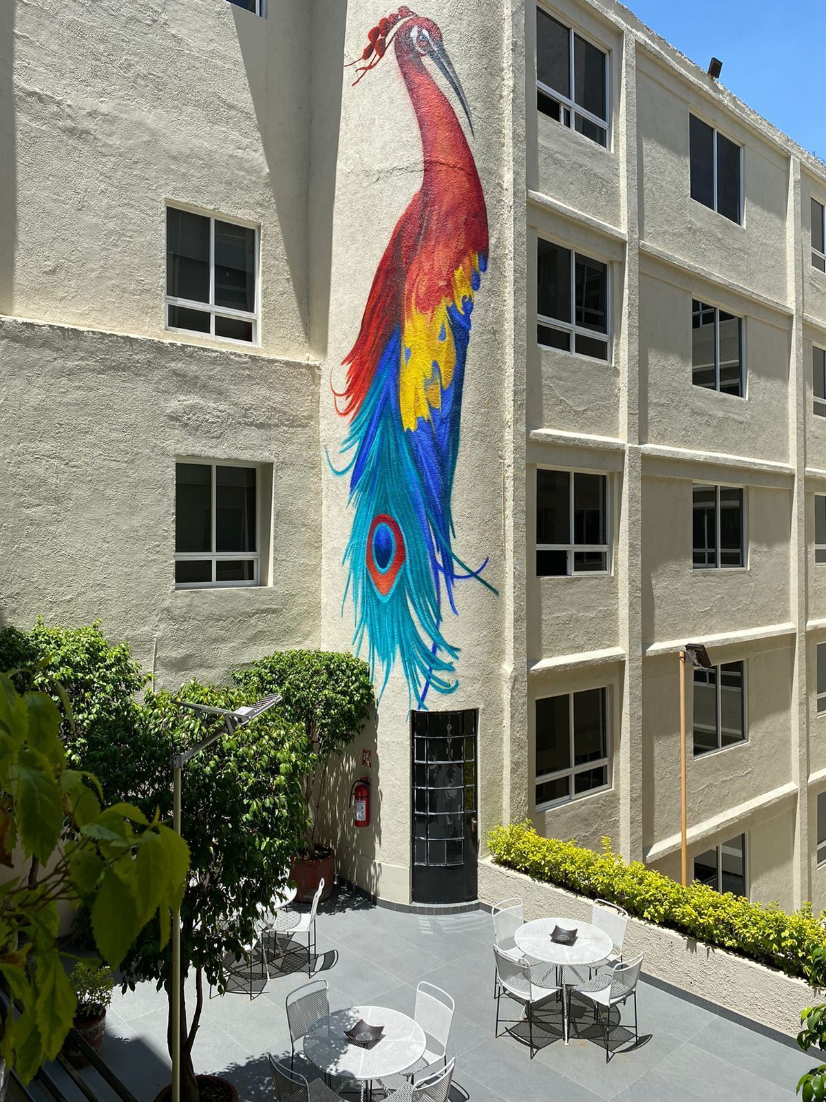 daily buffet breakfast (mxn 300 per person)