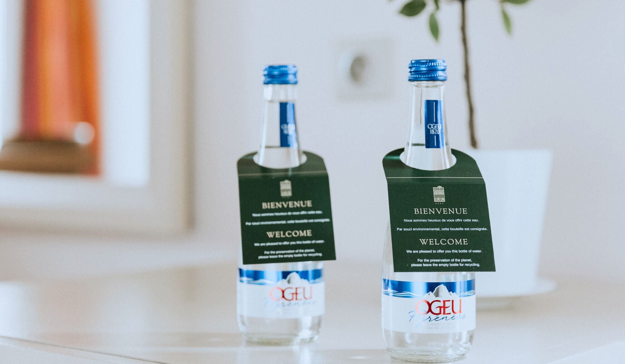 Photo - Grand Tonic Hotel & SPA NUXE