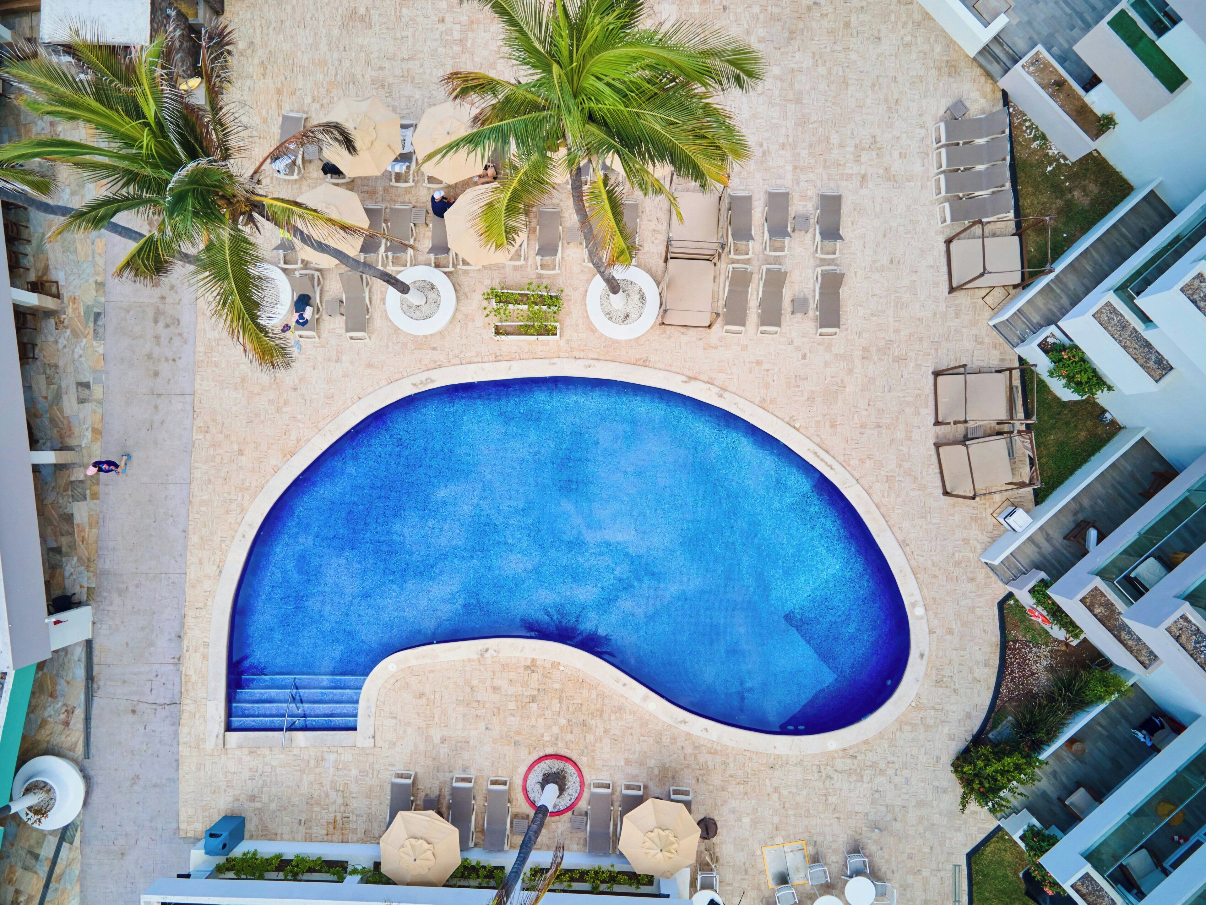 Vista aerea di una piscina circondata da lettini e palme.