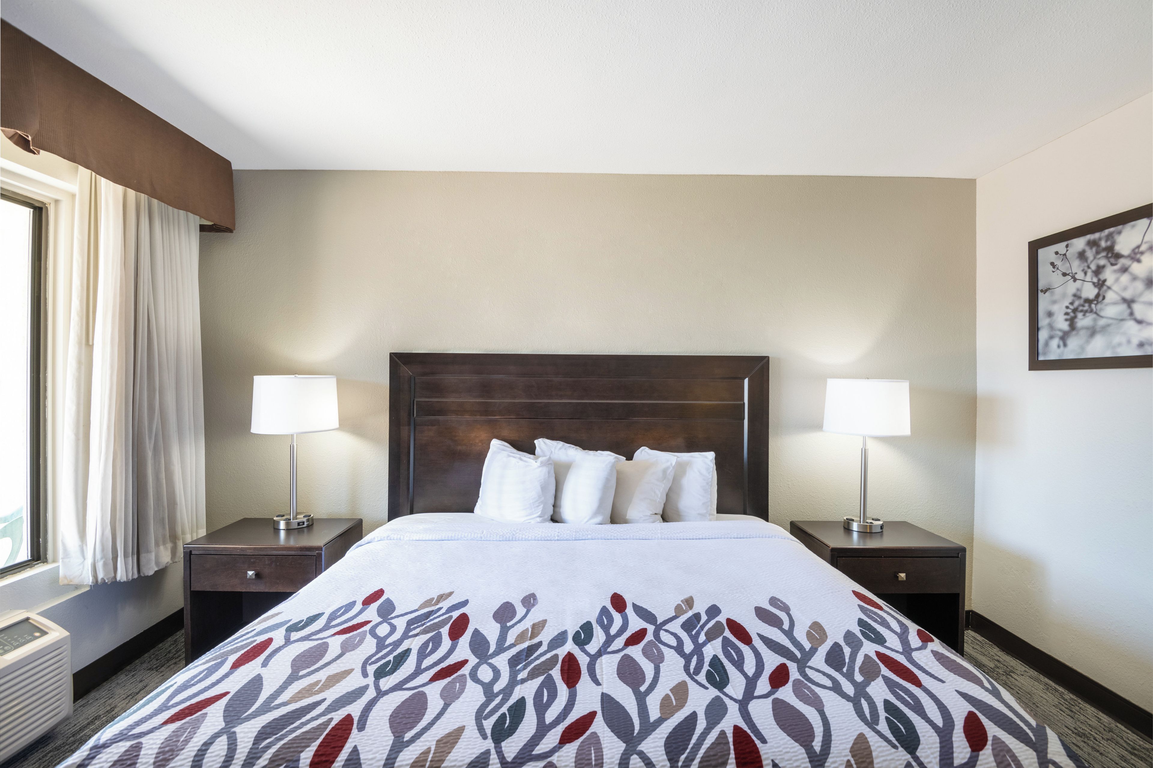 Une chambre d’hôtel avec un grand lit, deux tables de chevet avec des lampes, une fenêtre avec des rideaux et un tableau accroché au mur.