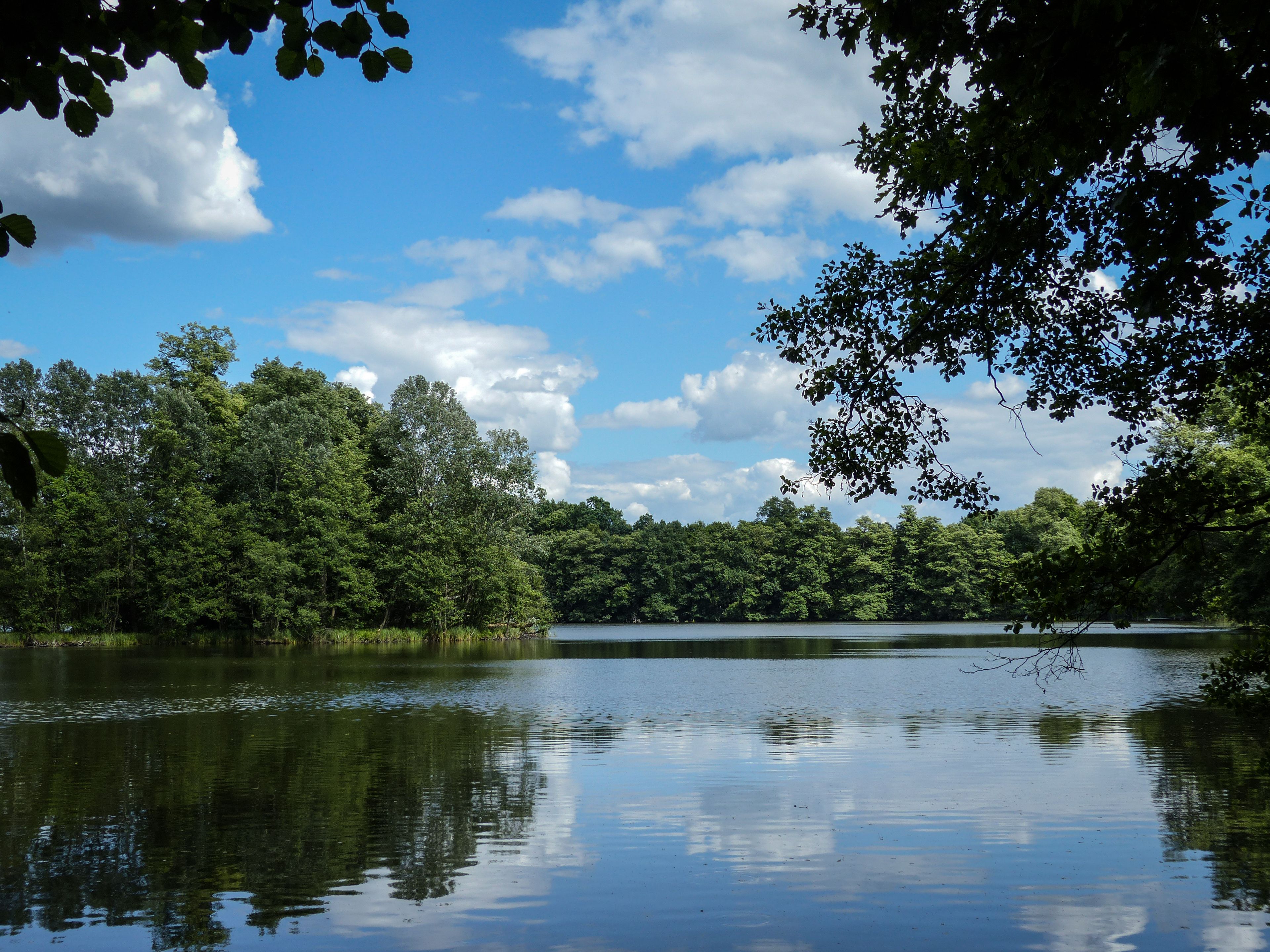 Photo - Hotel Haus Chorin