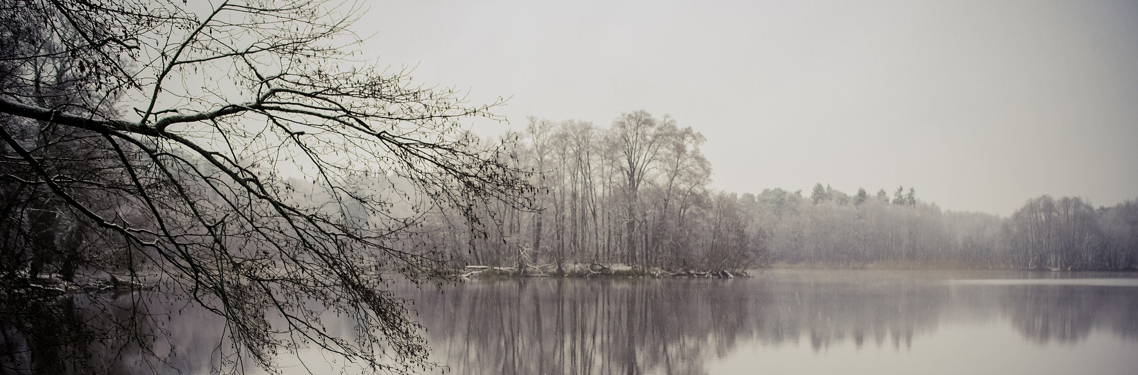 Photo - Hotel Haus Chorin