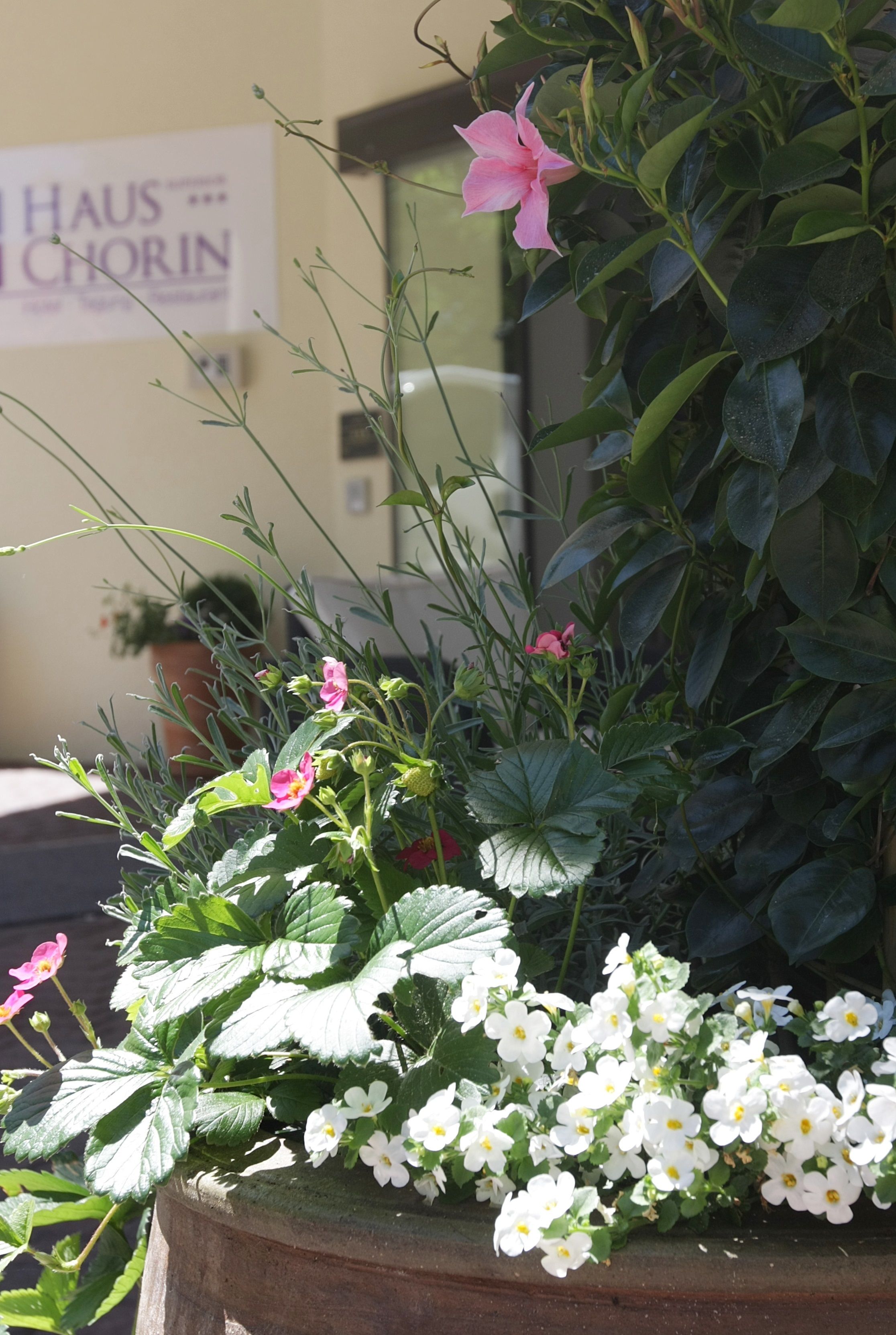 Photo - Hotel Haus Chorin