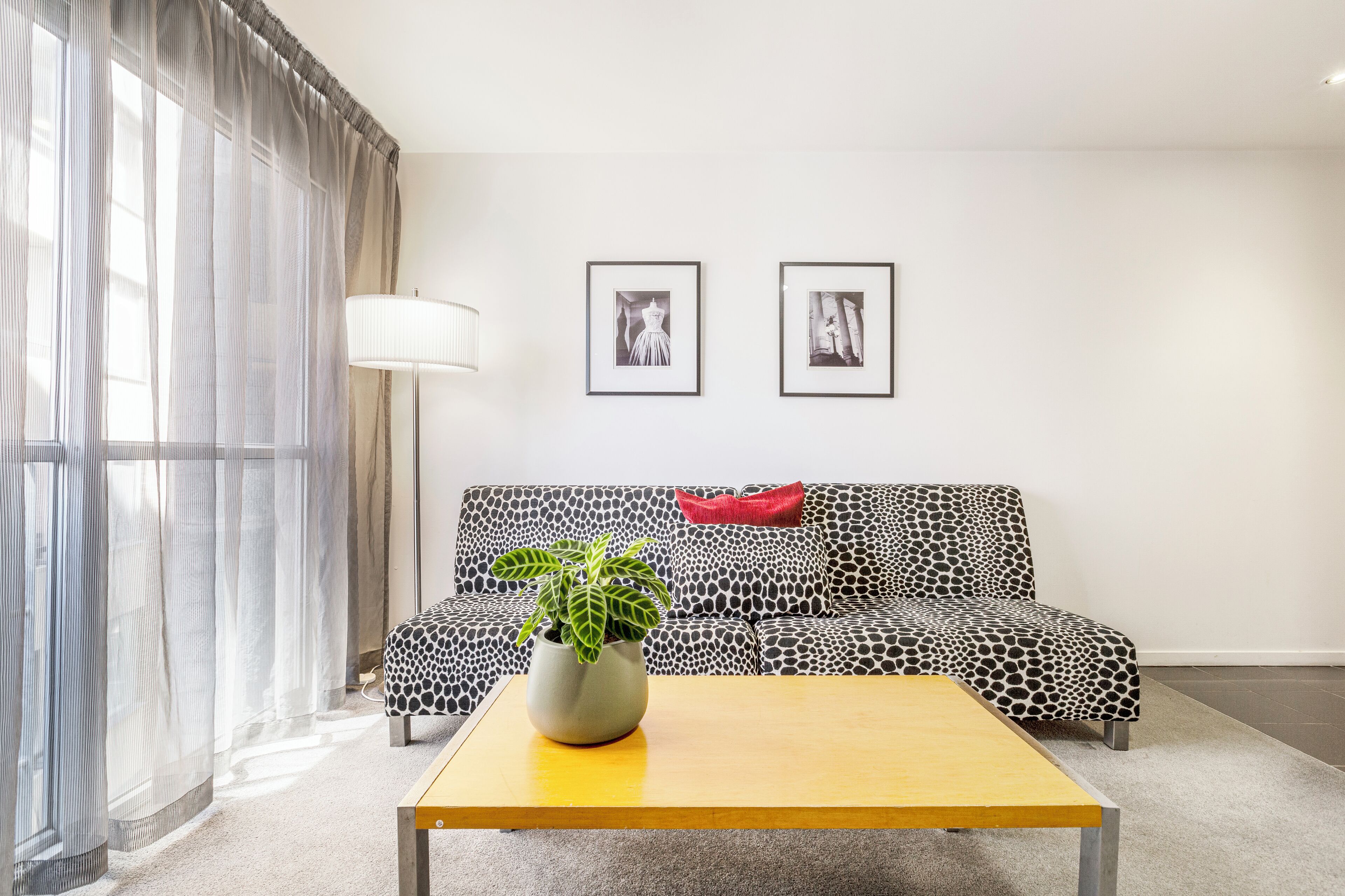 A modern living room with a sofa, a coffee table, a potted plant, and two framed pictures on the wall.