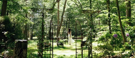 Un área boscosa con un arco de metal y un sendero que lo atraviesa.