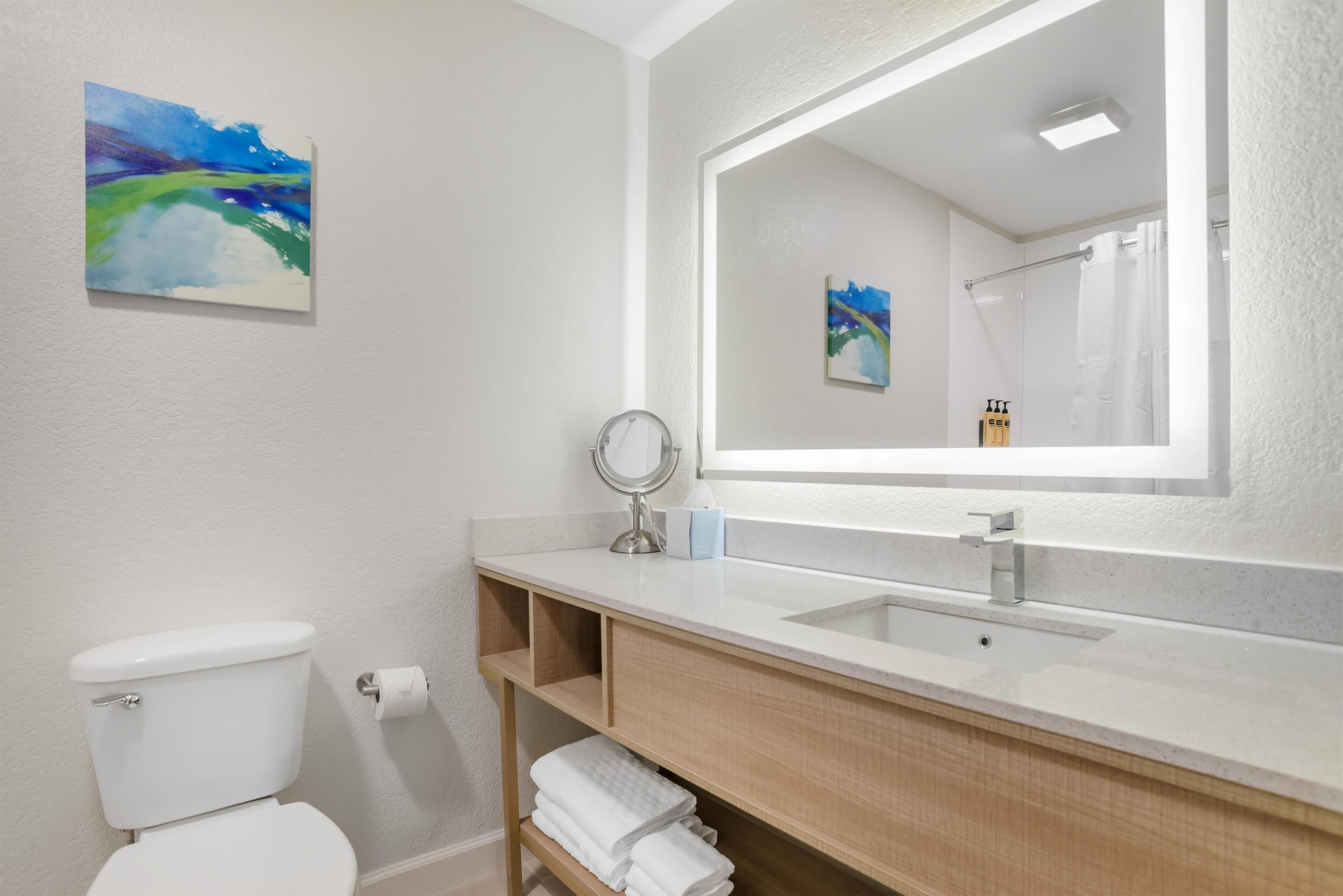 A bathroom with a white toilet, a sink with a mirror, and a shower.