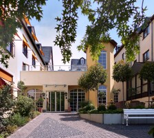 Un patio con un sendero adoquinado que conduce a un edificio con un amplio ventanal, rodeado de follaje y plantas en macetas.