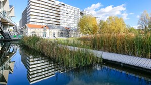 Un bâtiment moderne, avec une étendue d’eau miroitante devant, entouré d’arbres et doté d’une promenade en bois.