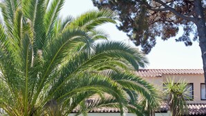 Un edificio con tejado de tejas, amplias ventanas y un jardín cuidado con palmeras y arbustos de hortensia.