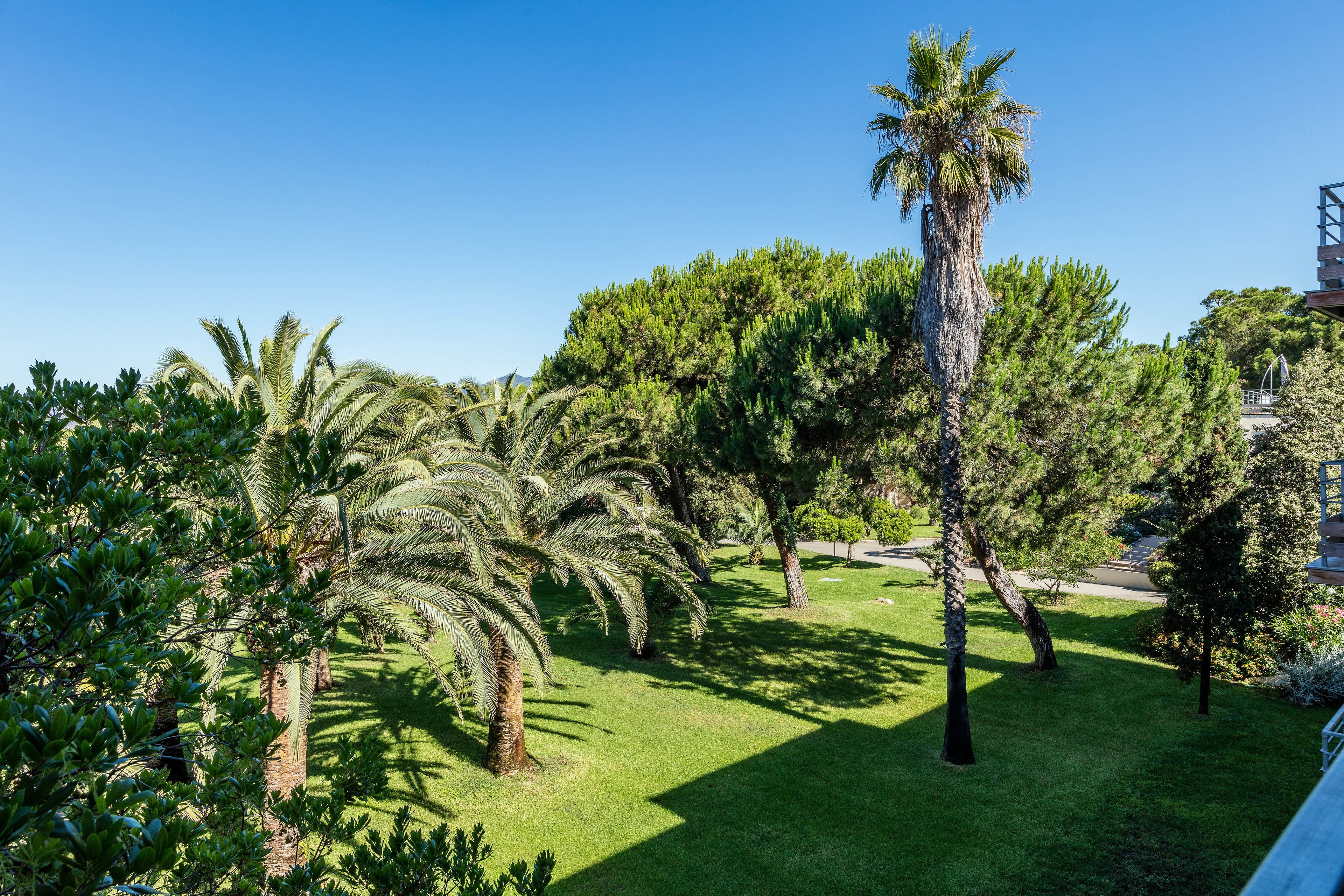 A well-maintained garden with various trees, including palm trees, and a clear blue sky.