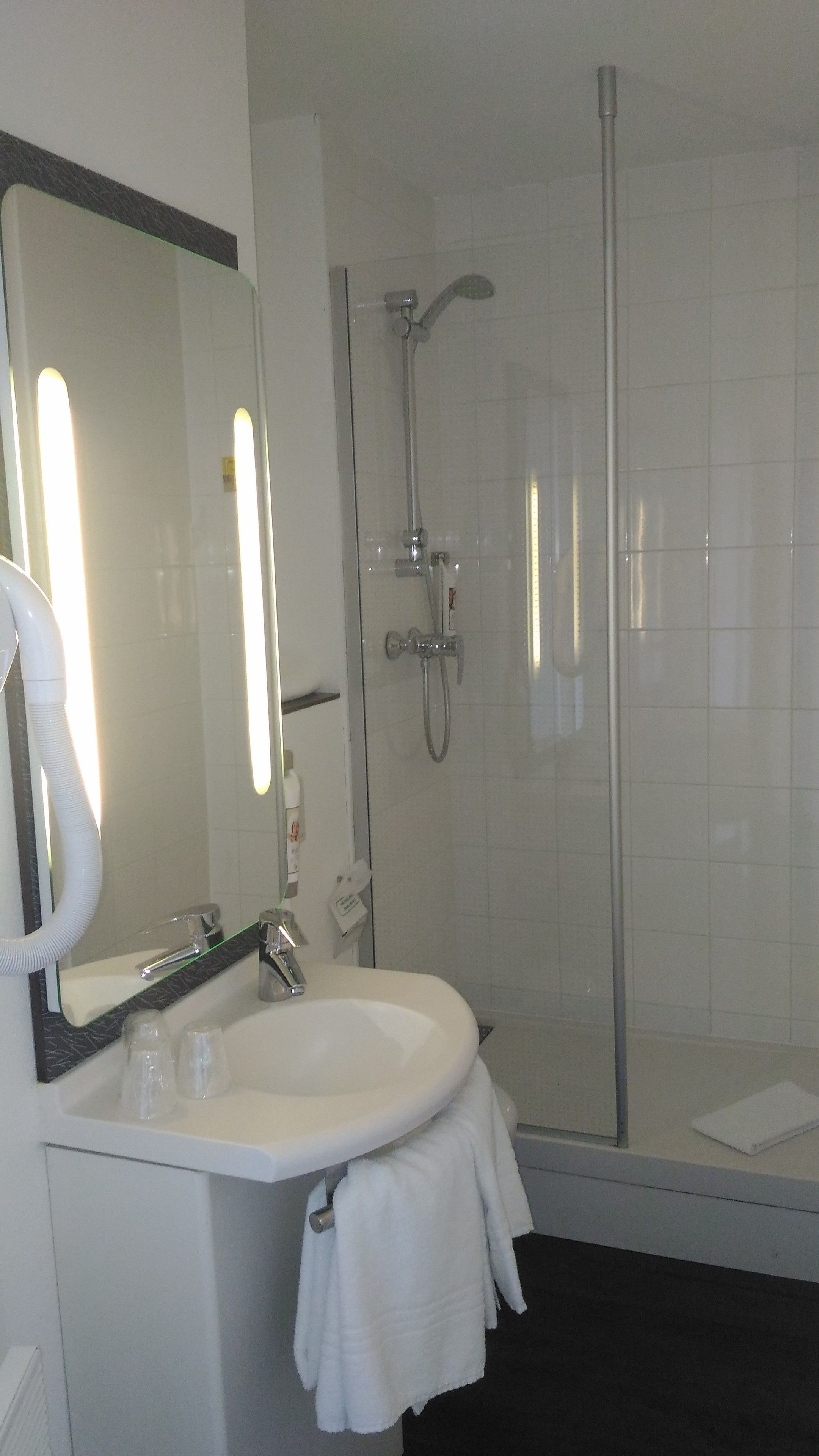 standard room, 2 single beds | bathroom amenities | shower, eco-friendly toiletries, hair dryer, towels