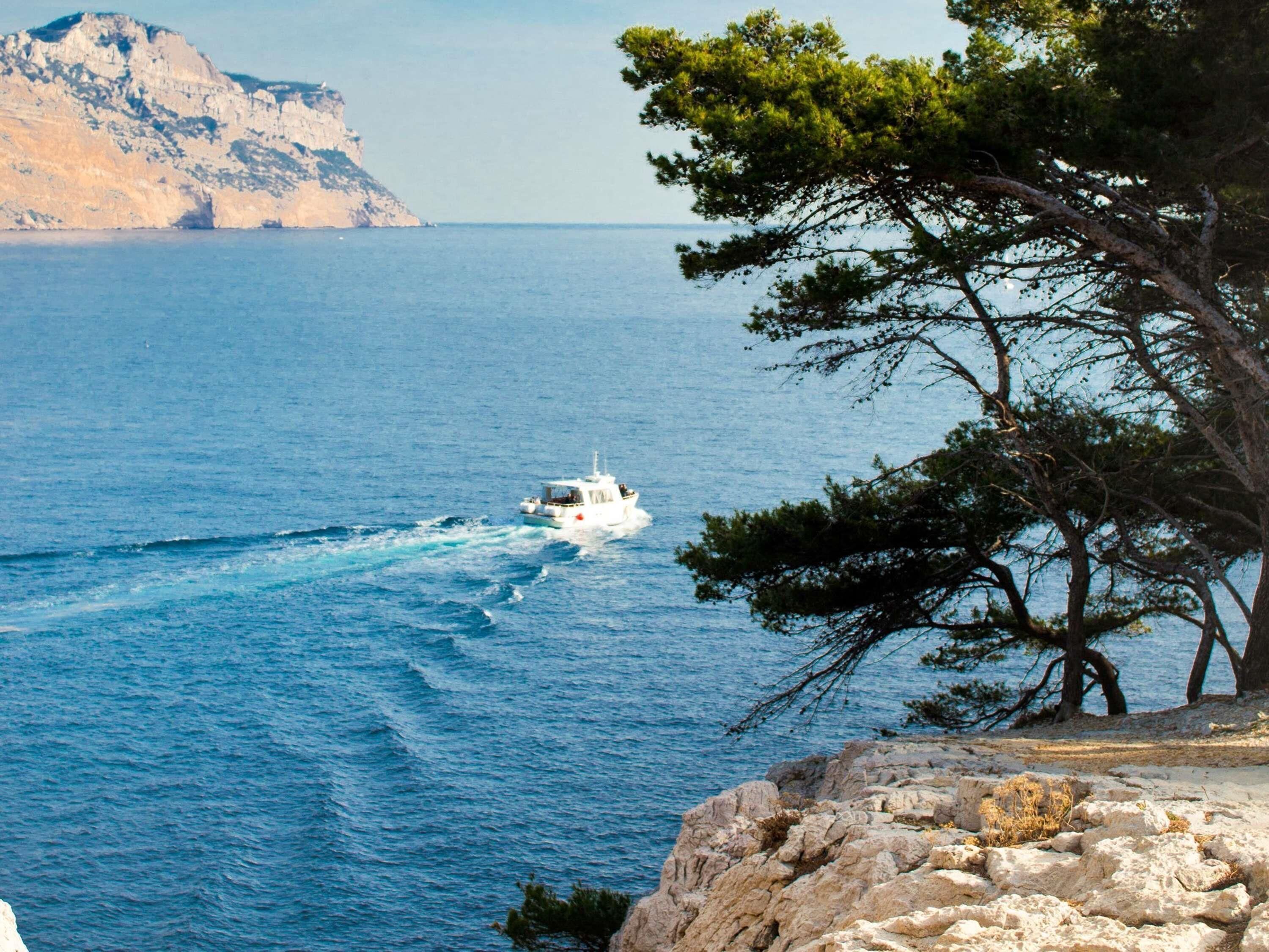 A coastal scene with a boat on the water, a rocky shoreline, and a tree.