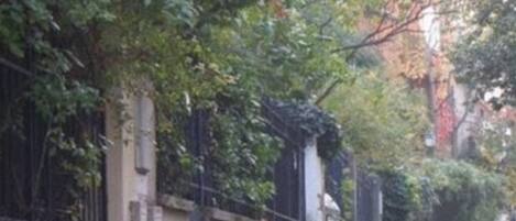 A cobblestone street lined with trees and a brick wall.