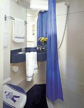 Chambre Double | Salle de bain | Douche, serviettes fournies