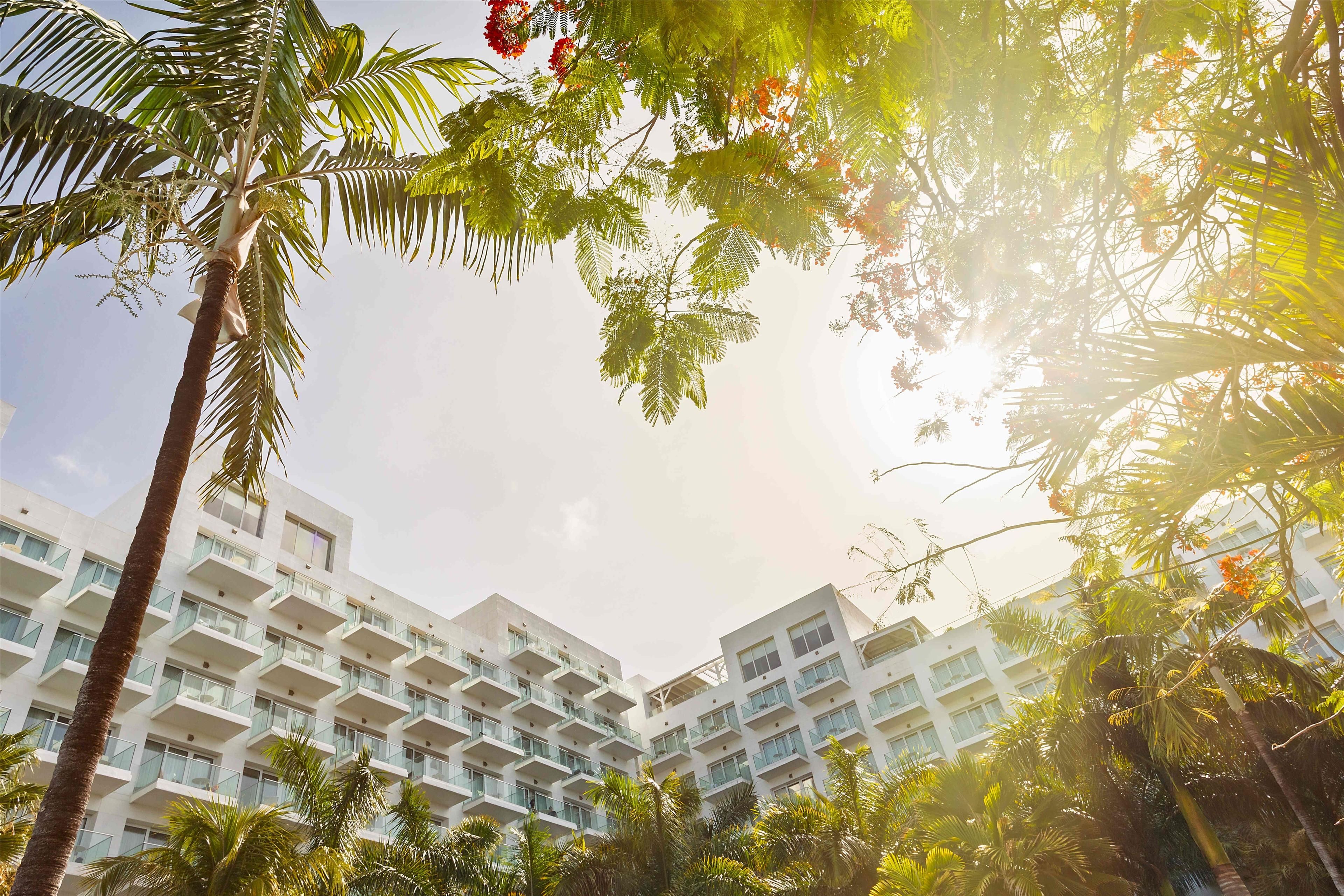 Un hotel de varios pisos con balcones y un patio rodeado de palmeras y plantas tropicales.