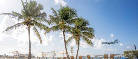 A beach with palm trees, a hammock, and beach chairs.