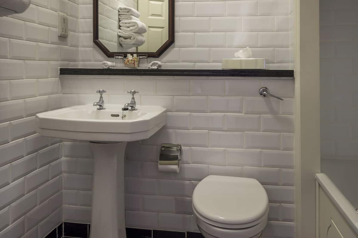 combined shower/bathtub, free toiletries, hair dryer, towels