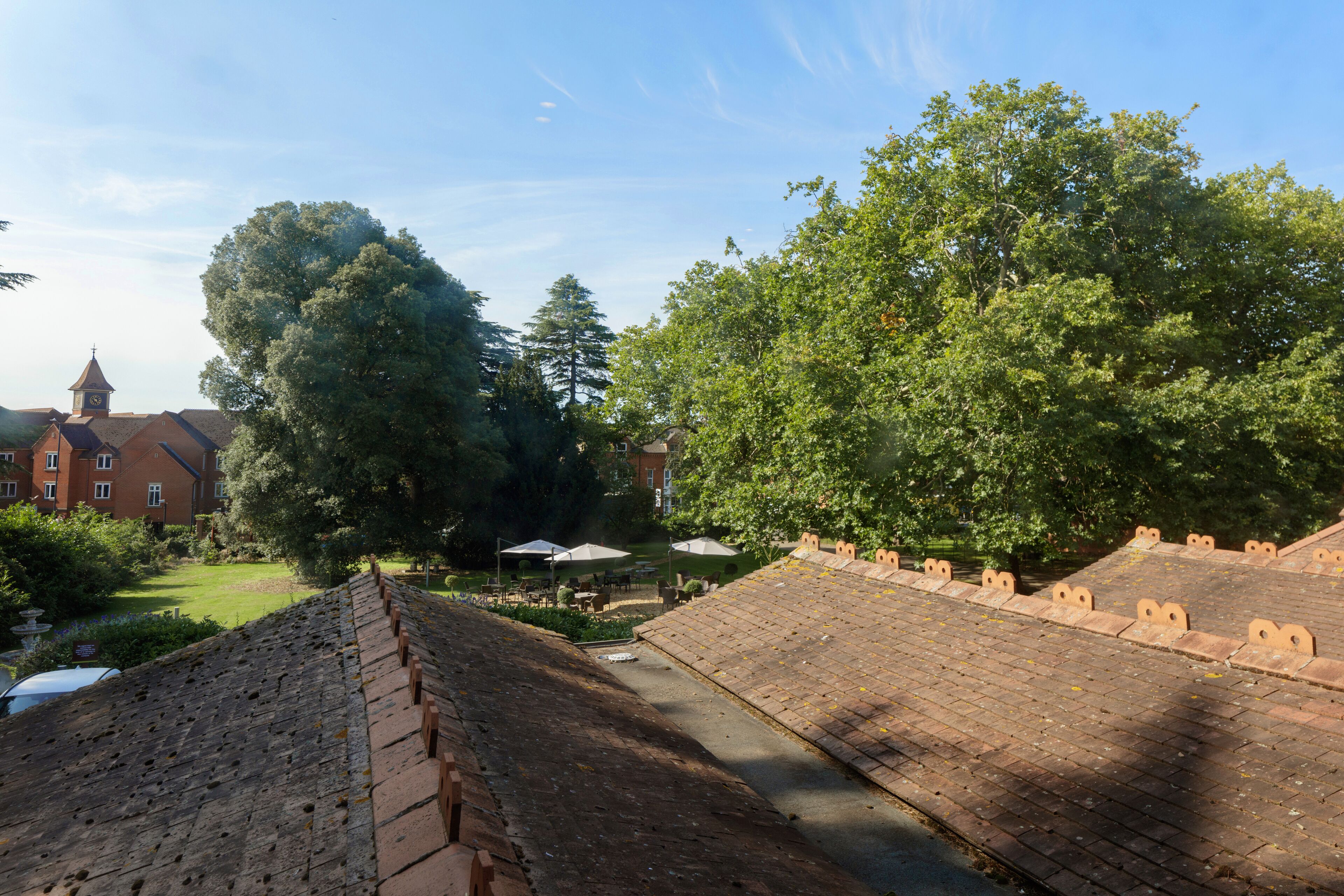 deluxe room, 1 king bed | garden view