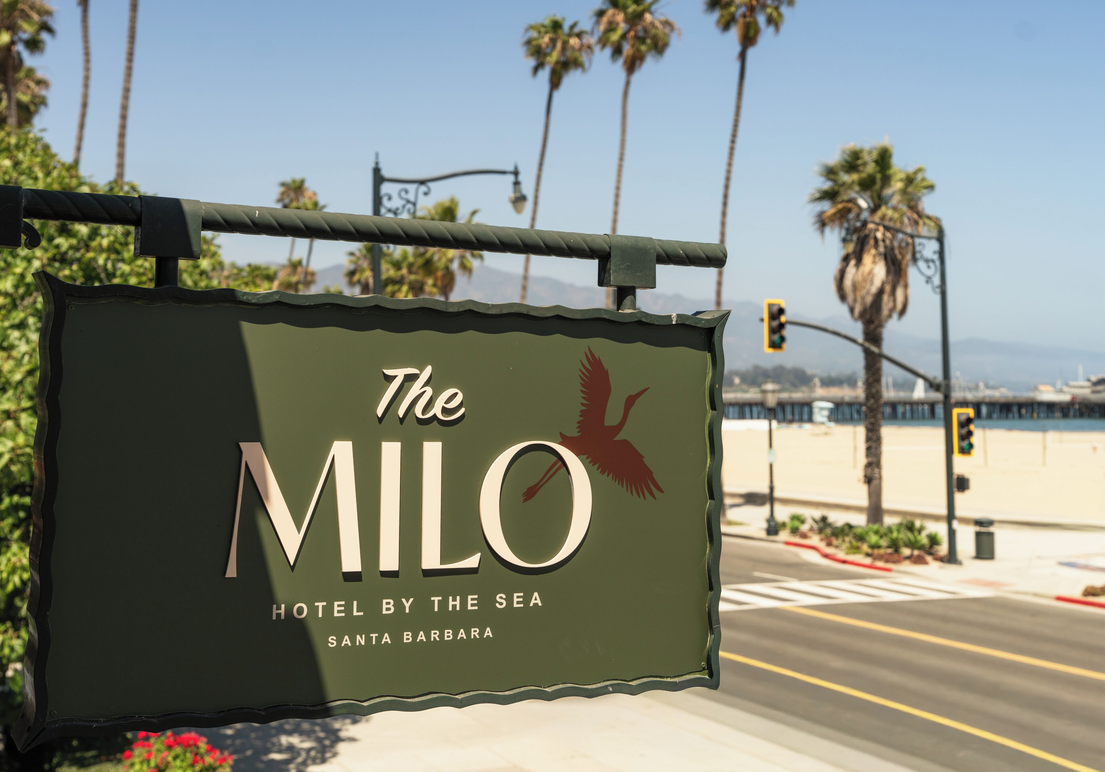 Photo - The Milo