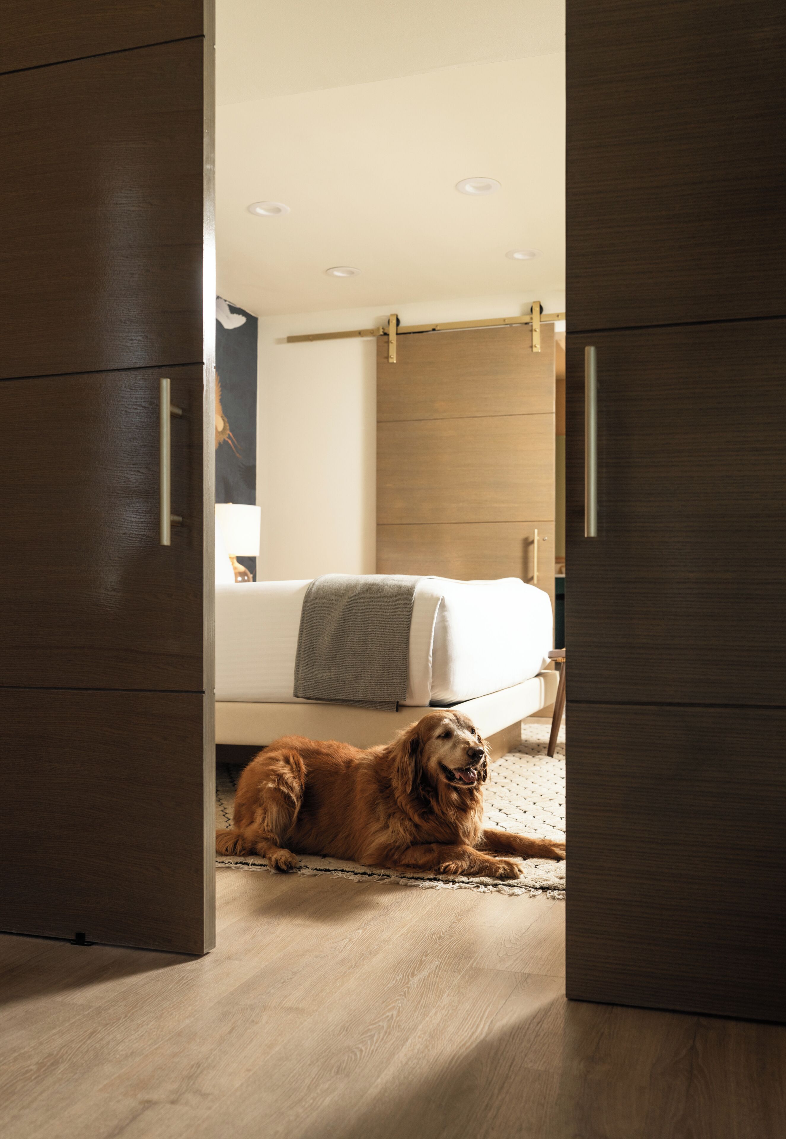 Ein Zimmer mit einem Bett, einem Hund und Holzböden.