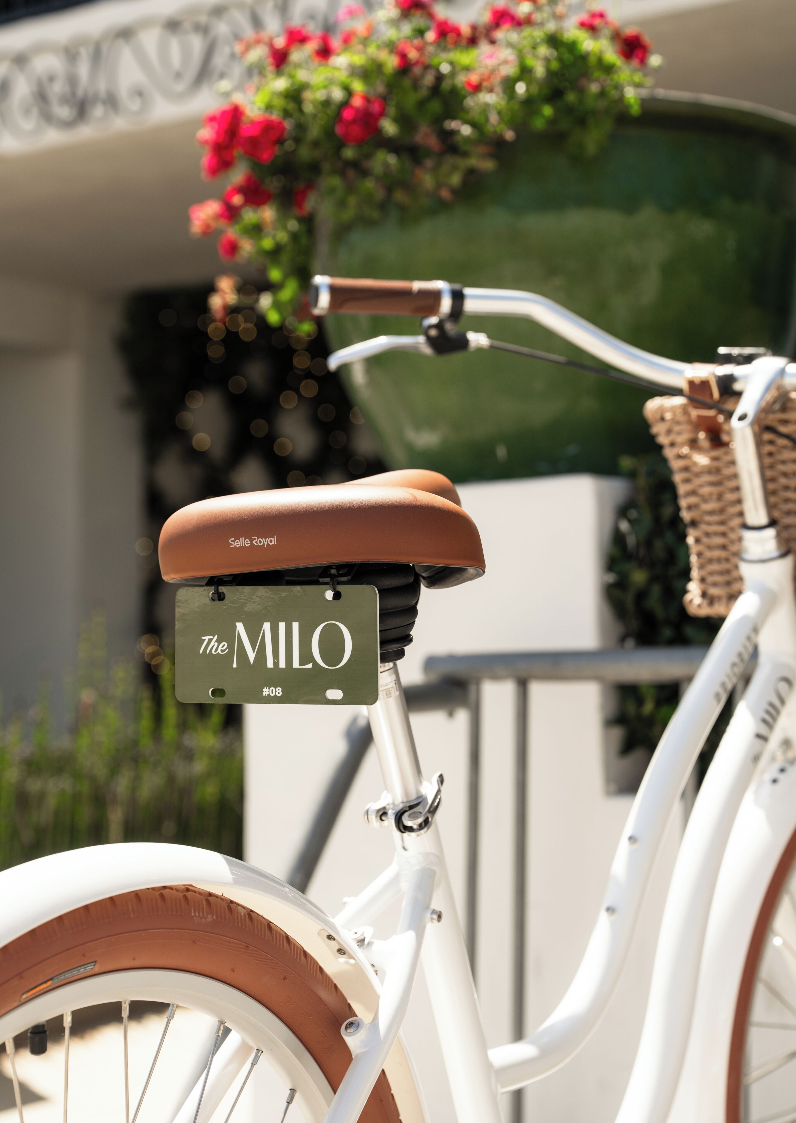Photo - The Milo