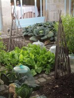 Un jardín con diversas plantas de hojas y una estructura de enrejado.