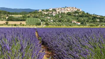 Campo de lavanda com vista para uma aldeia no topo da colina.