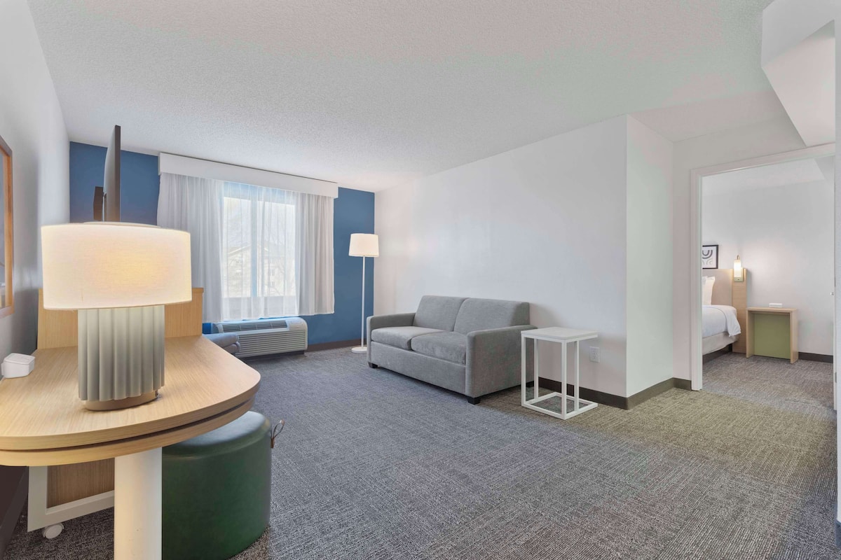 suite, 1 king bed | living area | flat-screen tv