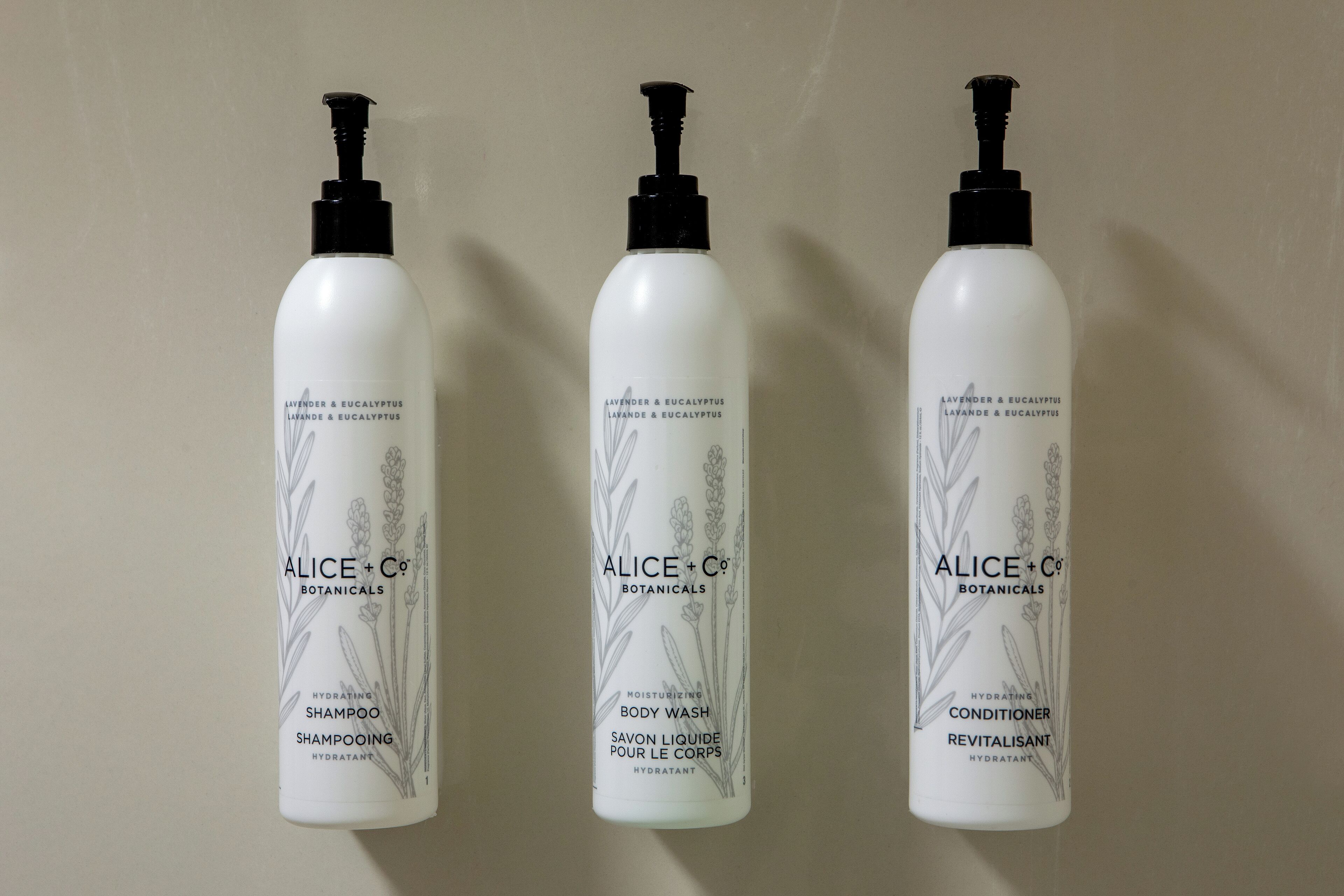 combined shower/bathtub, free toiletries, hair dryer, towels