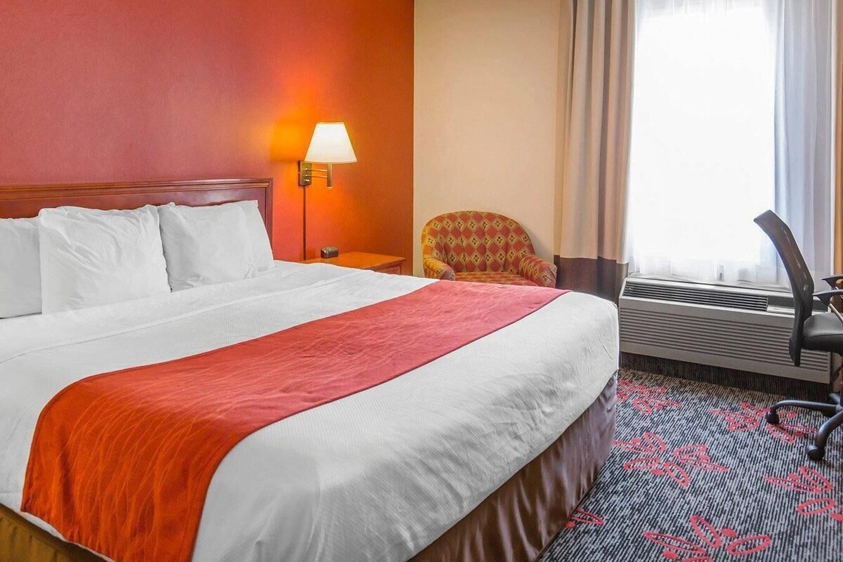Standard Room, 1 King Bed, Non Smoking
