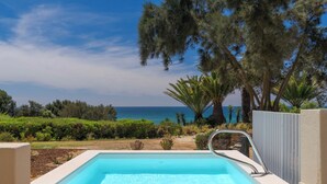 Una piscina rettangolare con una scala in metallo, immersa in un giardino curato con diverse piante e alberi, e vista sull'oceano.