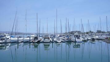 Ropa de cama de alta calidad y escritorio