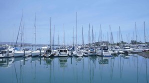 Ropa de cama de alta calidad y escritorio 