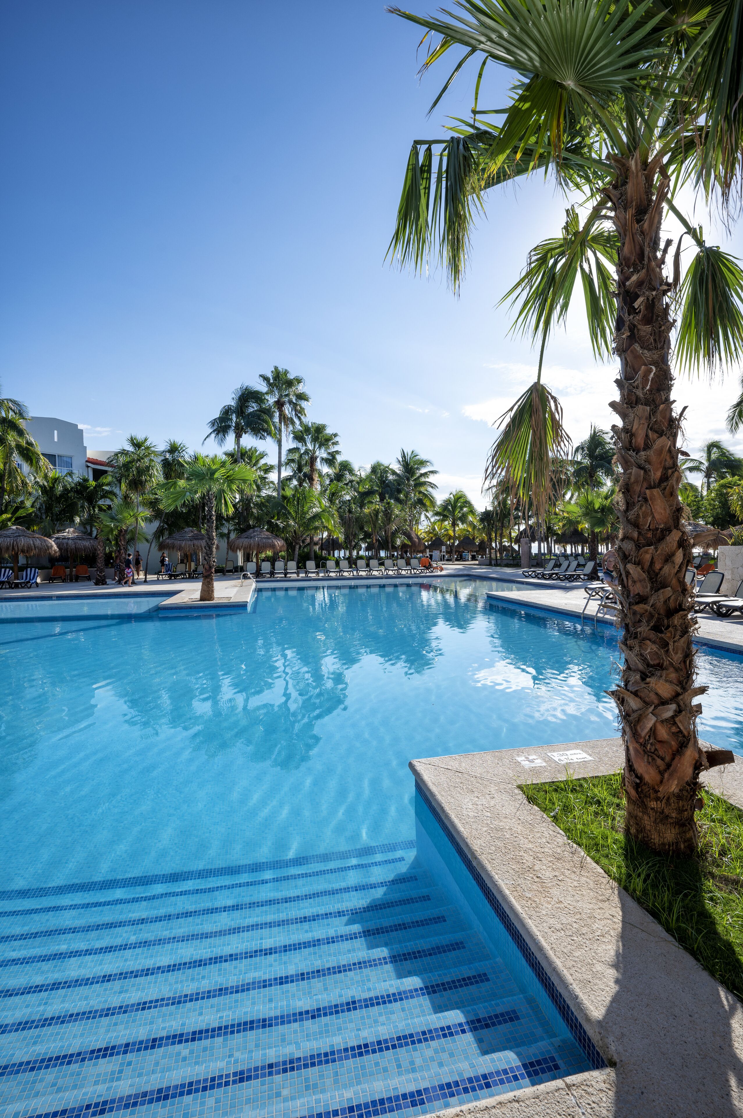 Outdoor pool, pool umbrellas, pool loungers