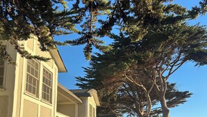 A row of two-story houses with stone foundations and large windows, surrounded by a gravel driveway and various plants. - FogCatcher Inn (Cambria)