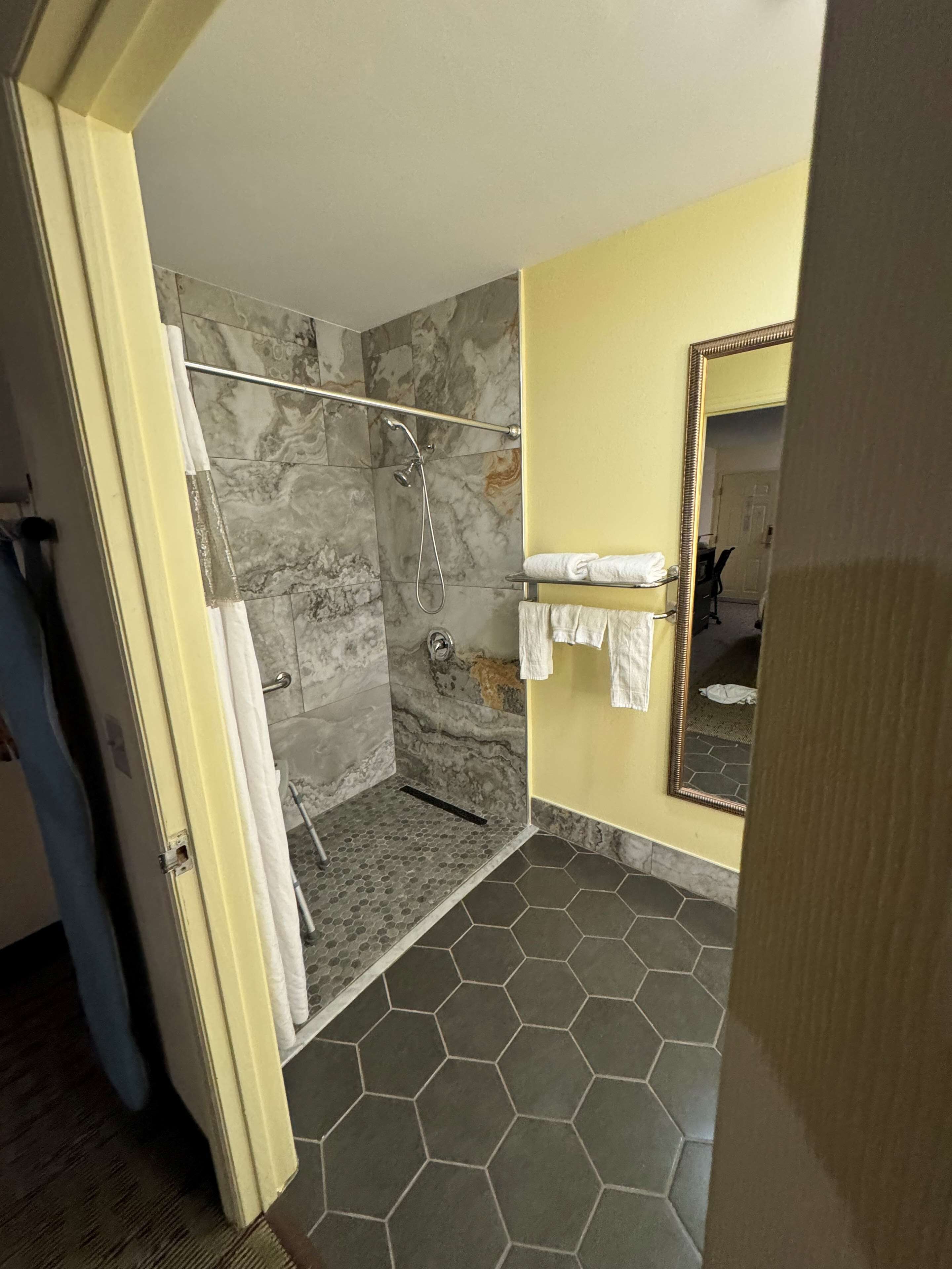 standard room, 1 king bed, accessible, non smoking | bathroom | combined shower/bathtub, free toiletries, hair dryer, towels