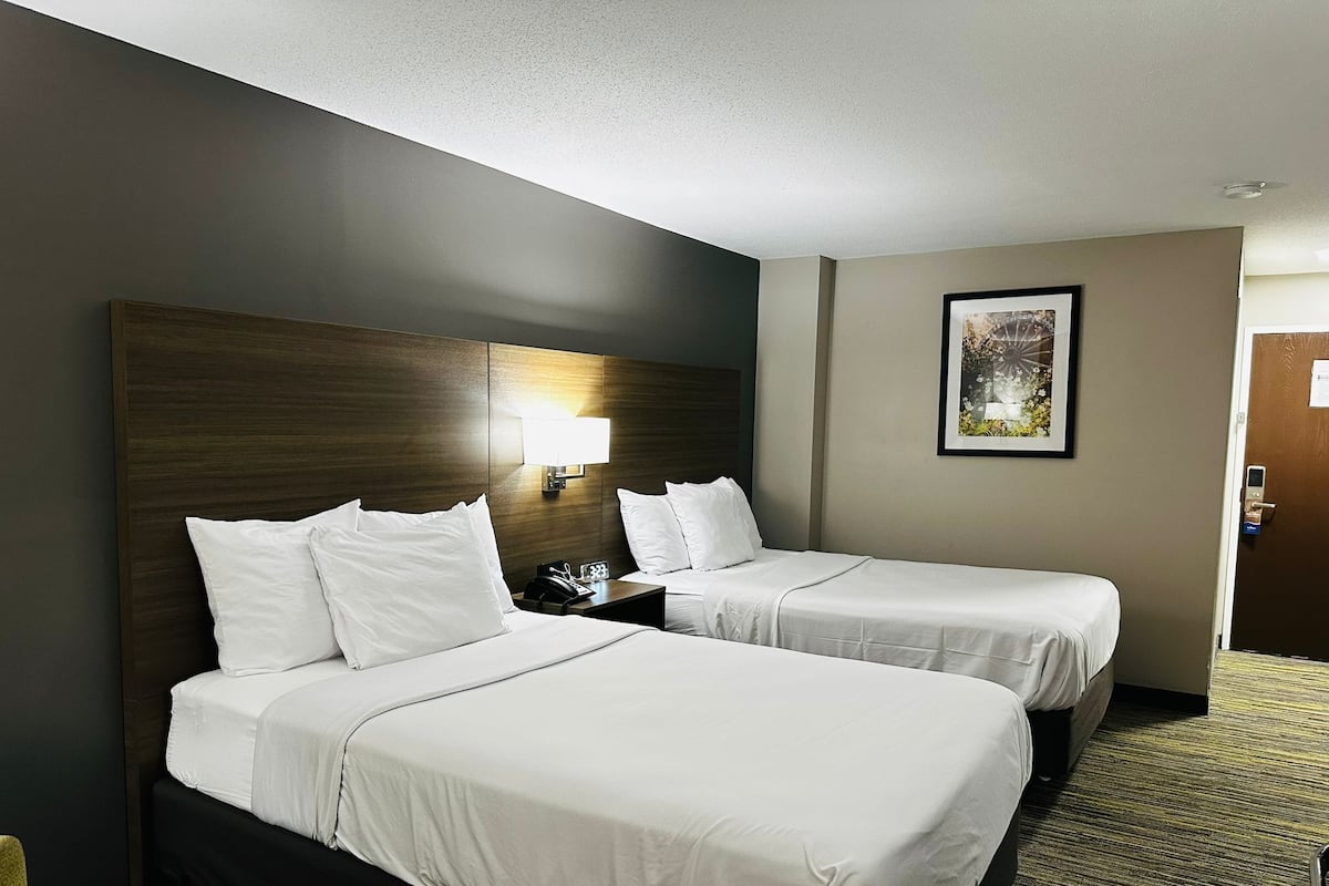 Habitación de hotel con dos camas, una mesita de noche, una lámpara y un cuadro en la pared.