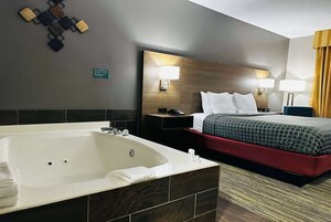 Ropa de cama de alta calidad, escritorio y cortinas blackout 