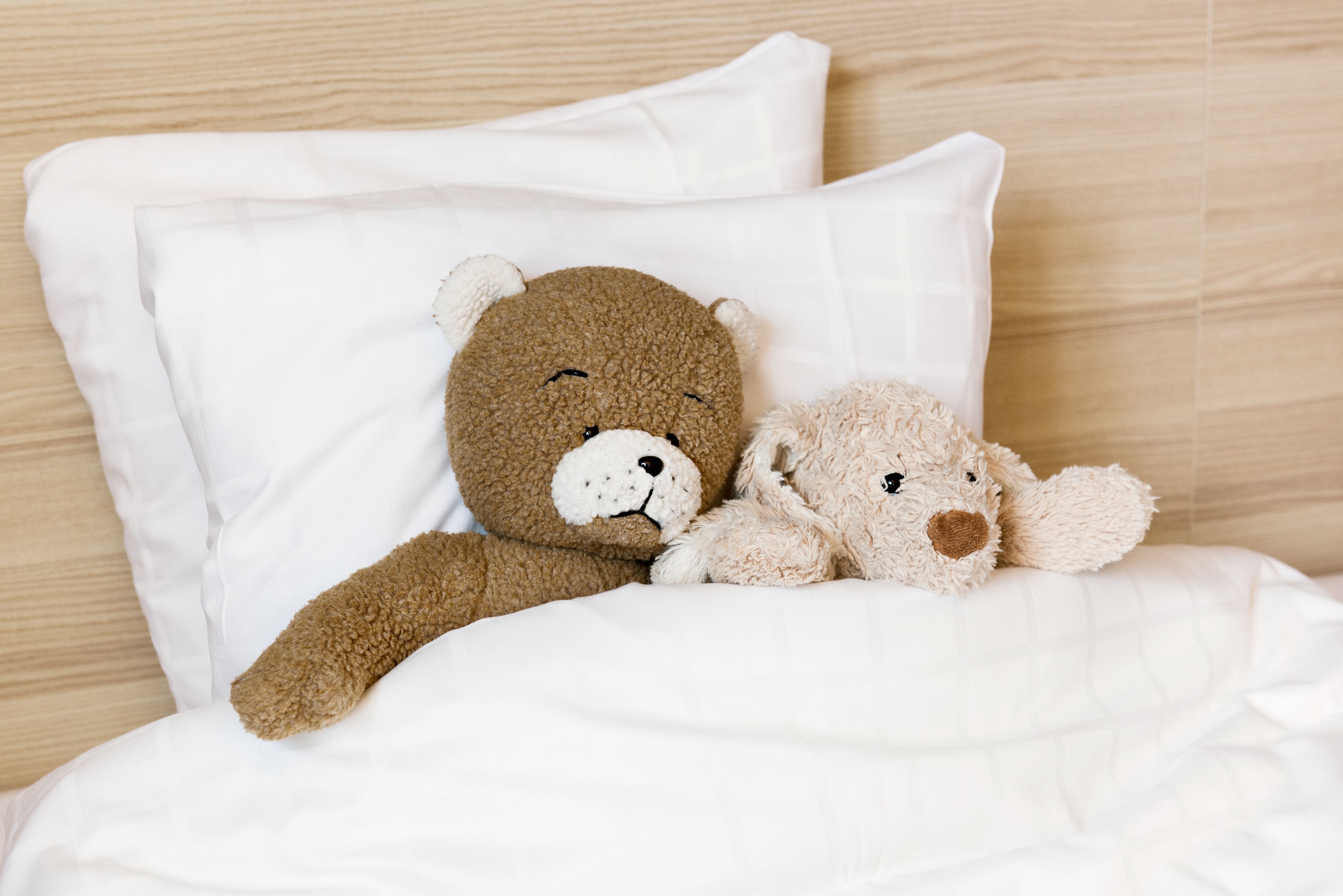 Foto - Scandic Eremitage