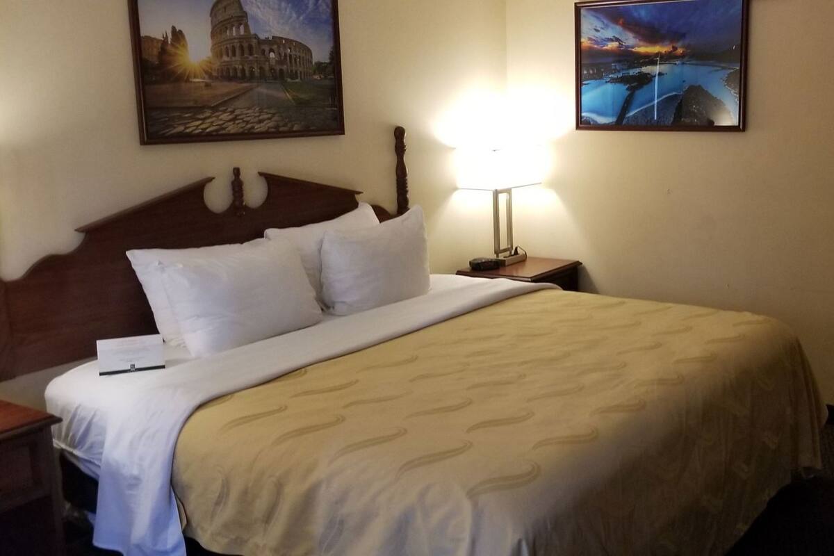 A hotel room with a bed, a nightstand, a lamp, a door, and two paintings on the wall.