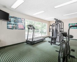 A gym with a treadmill, weight machines, and a mirrored wall.