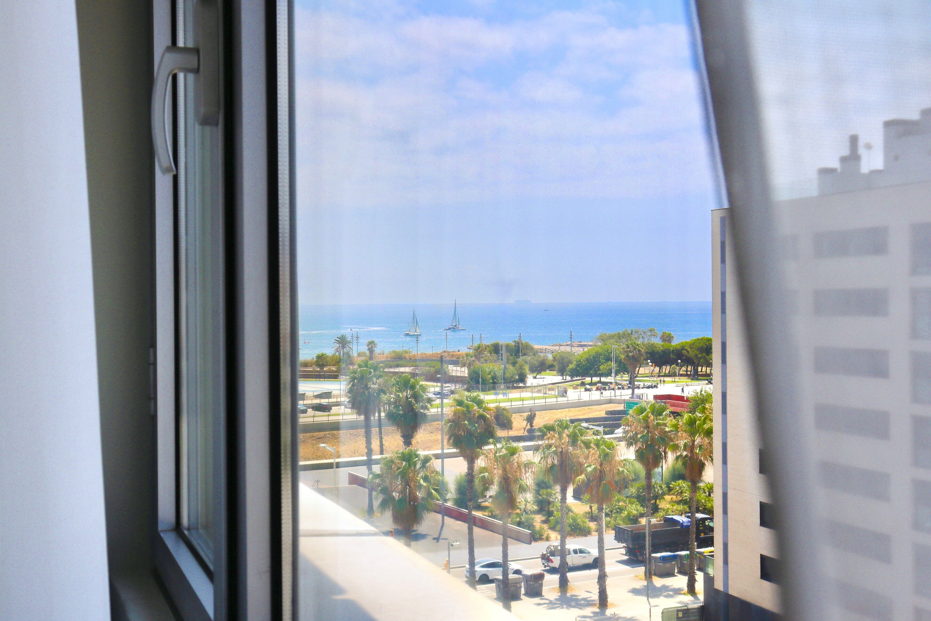 Vista desde una ventana sobre una zona costera con palmeras, una playa y el mar.