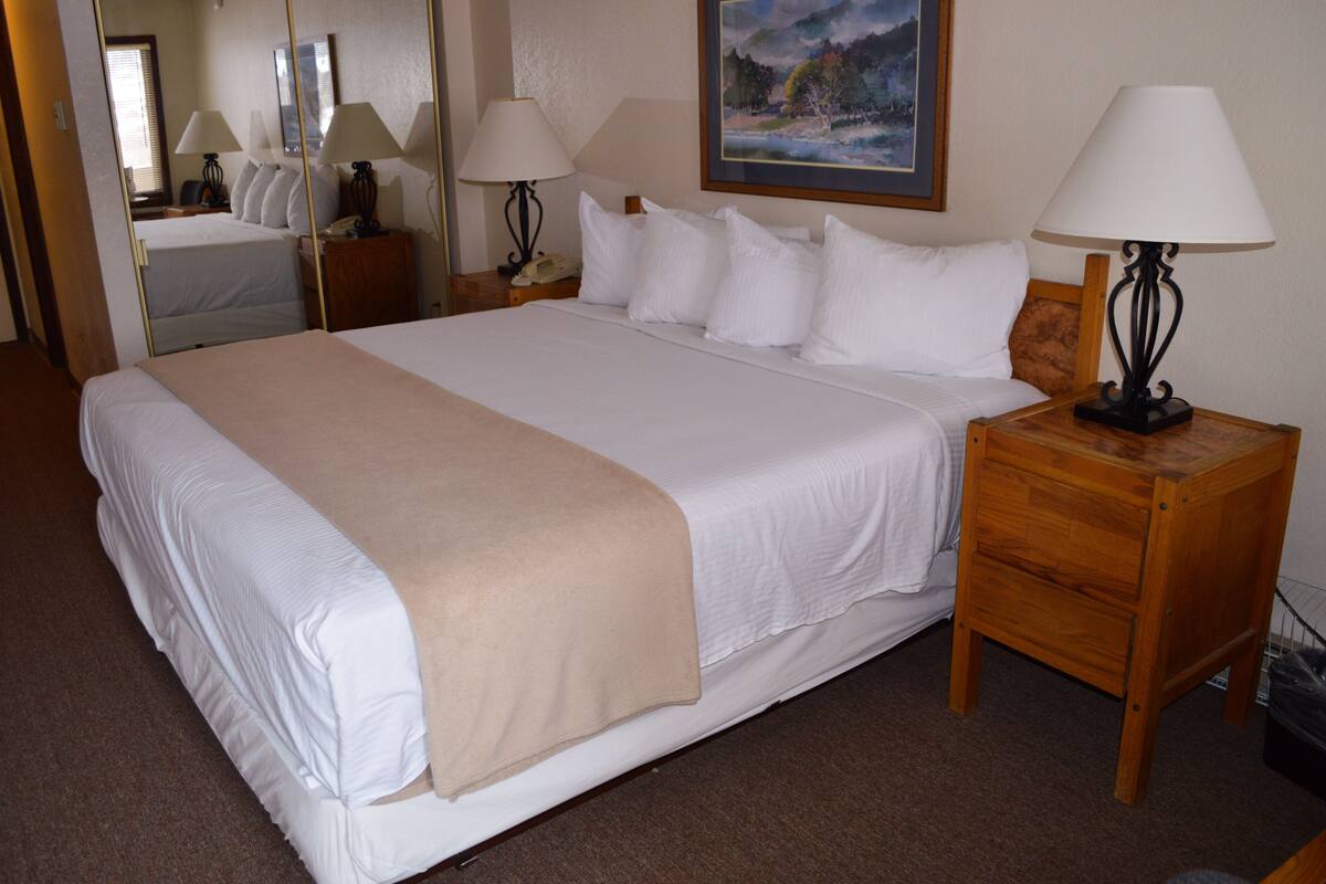 A hotel room with a large bed, two bedside tables with lamps, a wooden nightstand, a framed picture on the wall, and a mirror on the door.