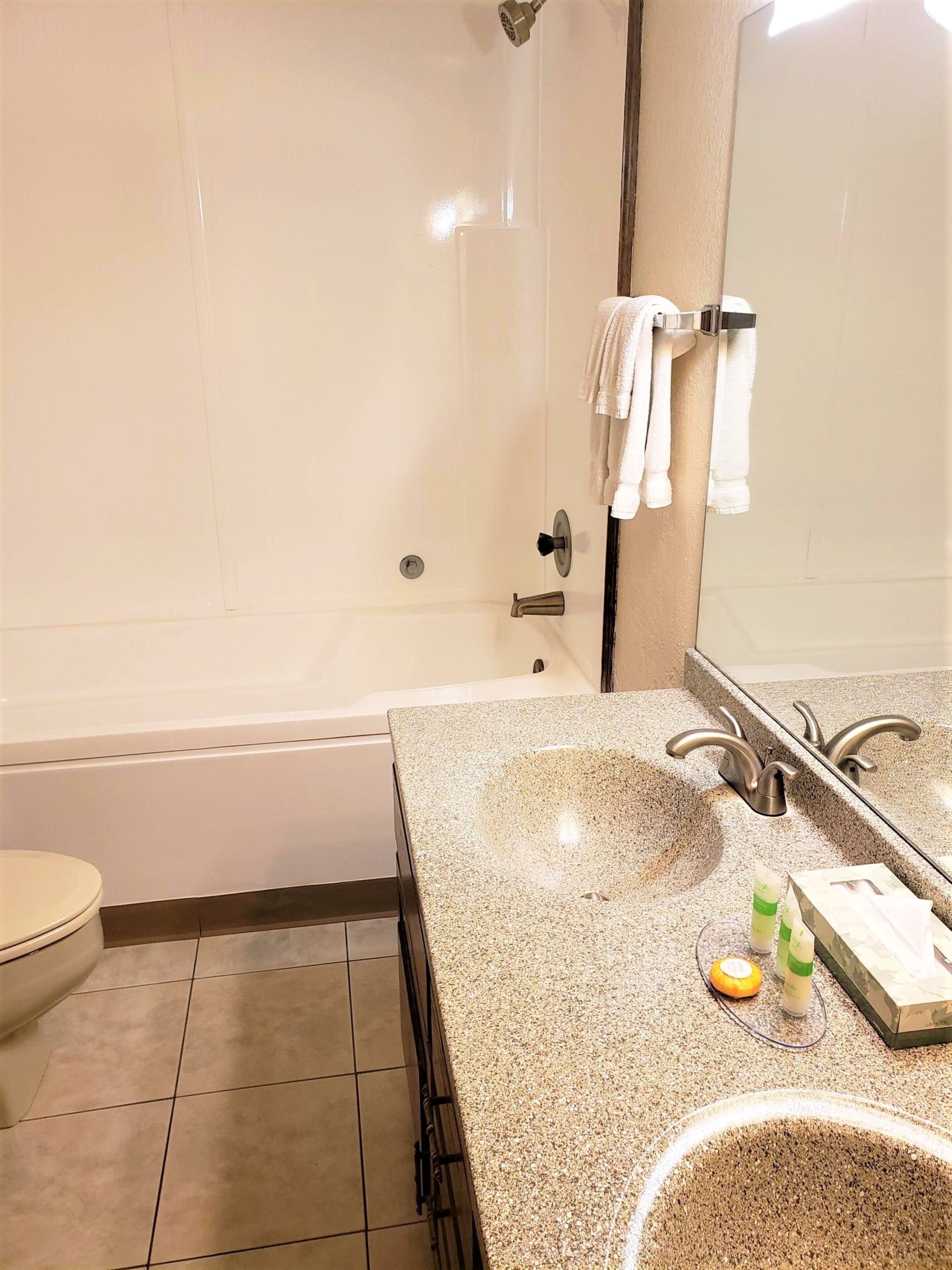 Une salle de bain avec une baignoire, un lavabo avec un miroir et des toilettes.