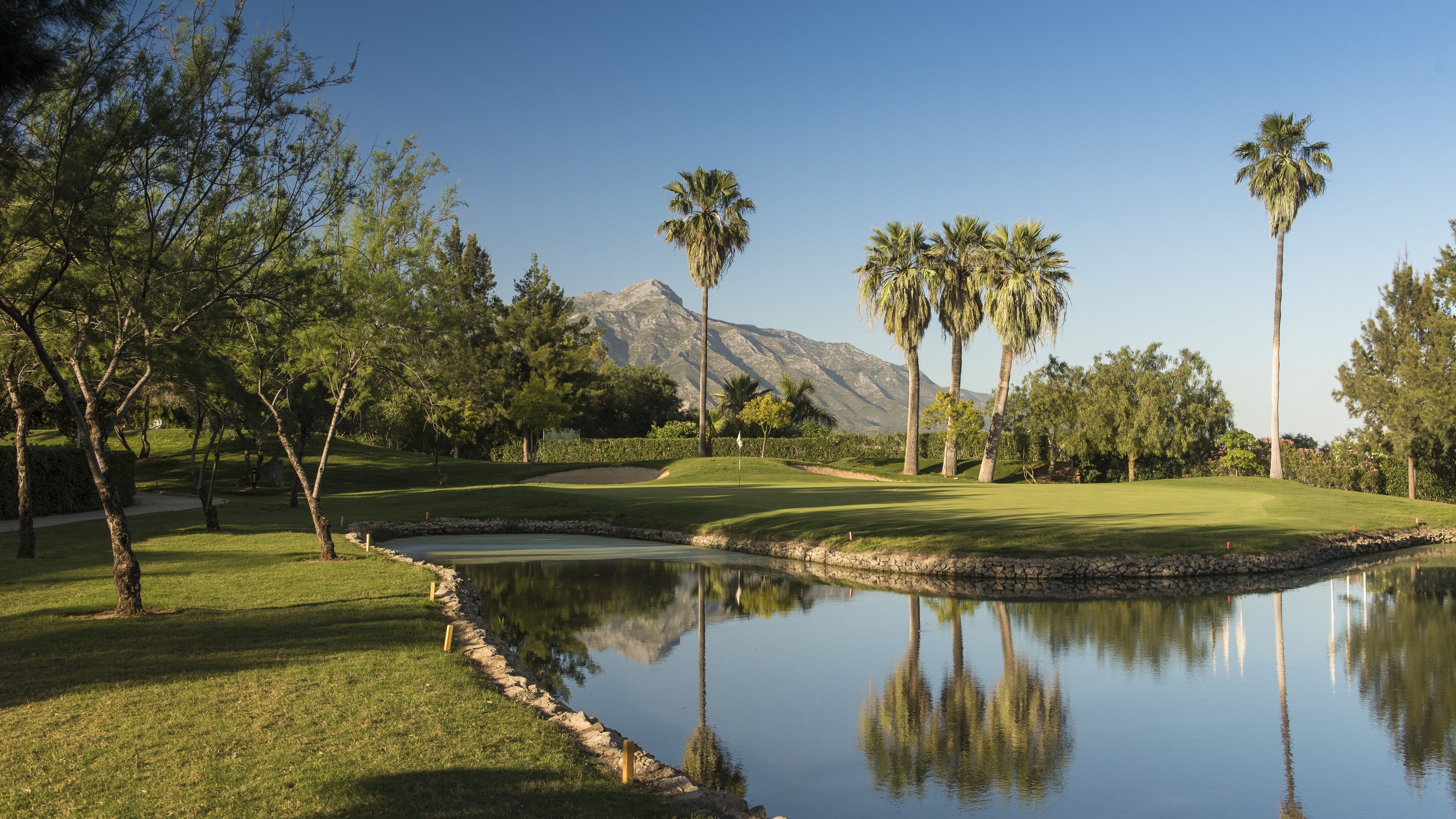 A golf course with a pond, palm trees, and a mountain in the background.